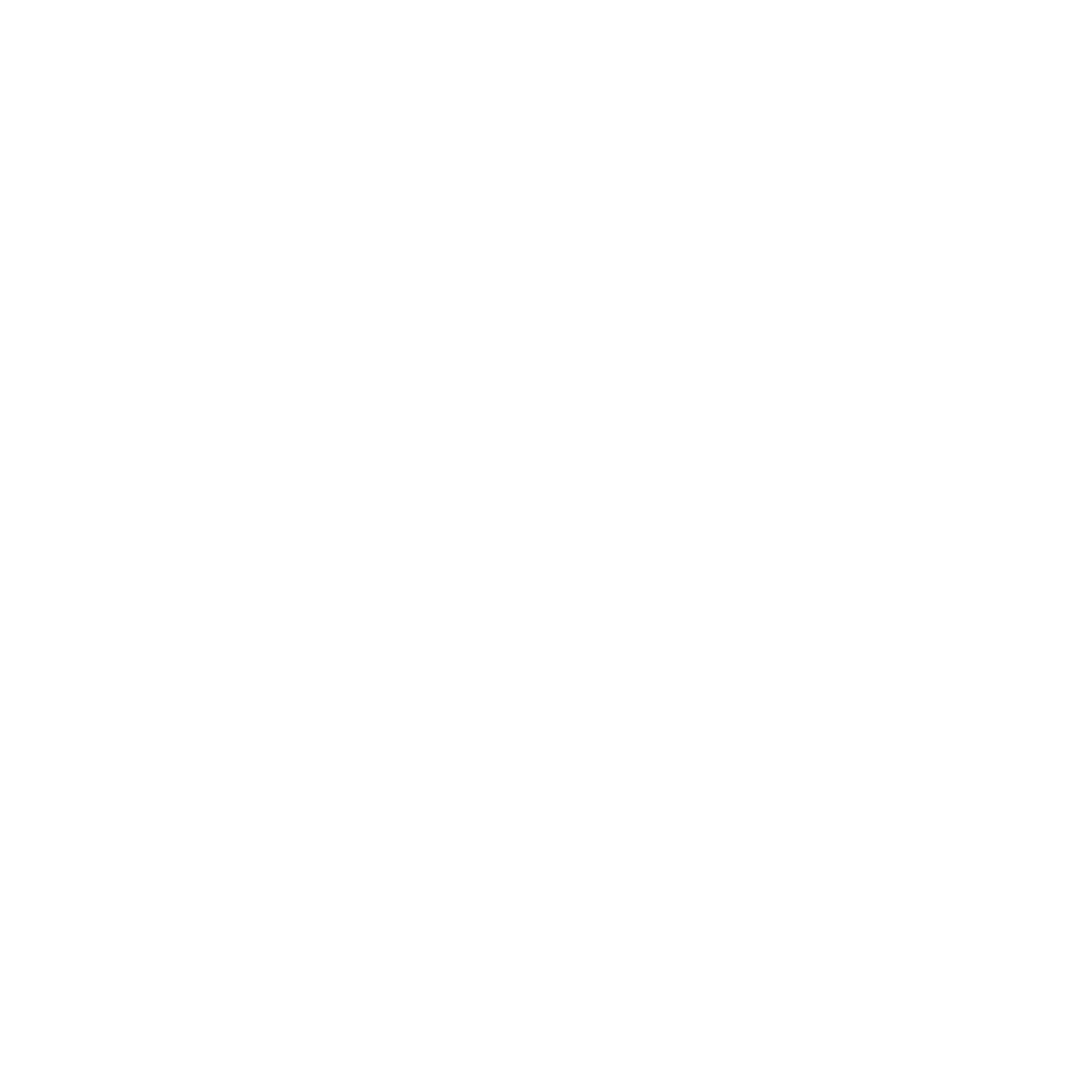 CLOUD NINE ロゴ