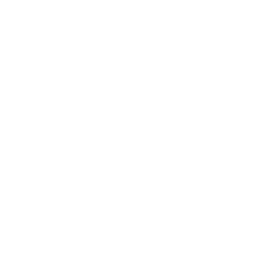 人